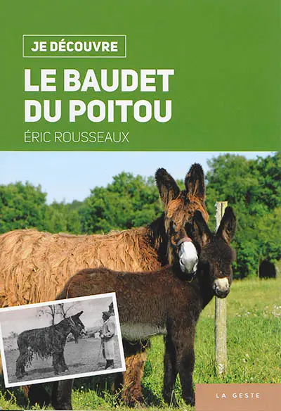 Le baudet du Poitou