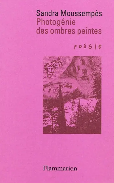 Photogénie des ombres peintes