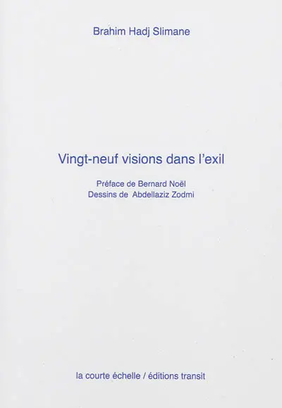 Vingt-neuf visions dans l'exil