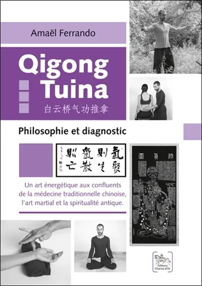 Qi gong tuina : philosophie et diagnostic : un art énergétique aux confluents de la médecine traditionnelle chinoise, l'art martial et la spiritualité antique