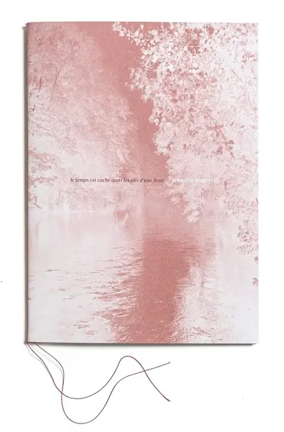 Le temps est caché dans les plis d'une fleur