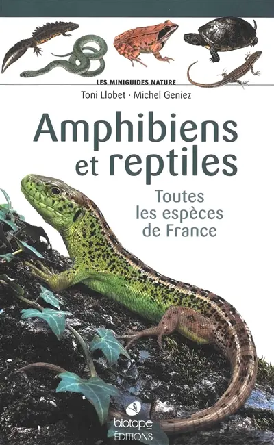 Amphibiens et reptiles : toutes les espèces de France
