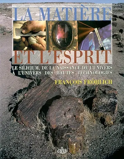 La matière et l'esprit : le silicium, de la naissance de l'Univers à l'univers des hautes technologies