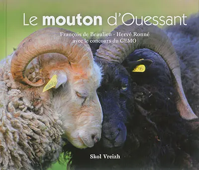 Le mouton d'Ouessant