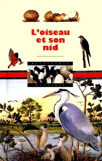 L'oiseau et son nid