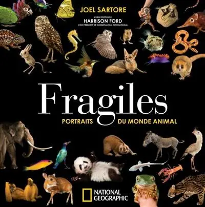 Fragiles : portraits du monde animal