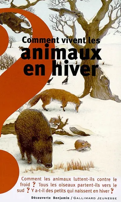 Comment vivent les animaux en hiver ?