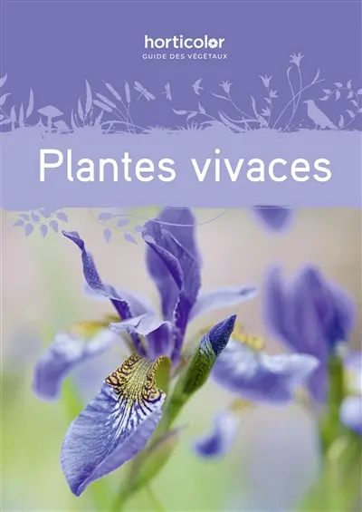 Guide des plantes vivaces