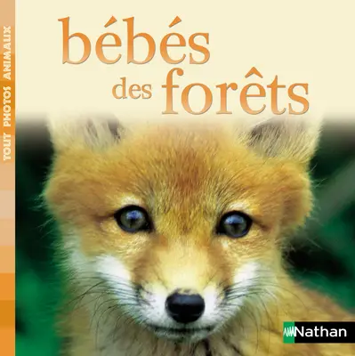 Bébés des forêts