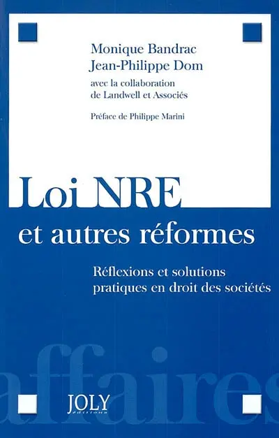 Loi NRE et autres réformes : réflexions et solutions pratiques en droit des sociétés