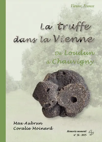 La truffe dans la Vienne : de Loudun à Chauvigny