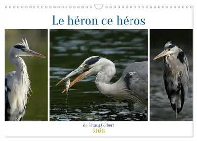 Le héron ce héros de l'étang Colbert (Calendrier mural 2026 DIN A3 vertical), CALVENDO calendrier mensuel : L'activité du héron cendré au bord d'un étang.