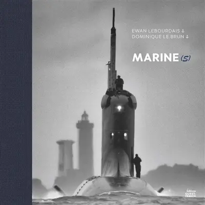 Marine(s) : dans le viseur du peintre officiel