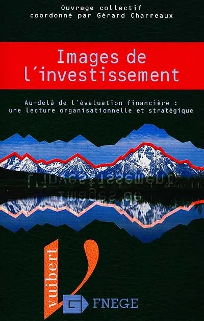Images de l'investissement : au-delà de l'évaluation financière, une lecture organisationnelle et stratégique
