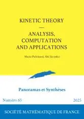Kinetic theory : analysis, computation and applications