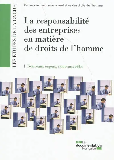 La responsabilité des entreprises en matière de droits de l'homme. Vol. 1. Nouveaux enjeux, nouveaux rôles