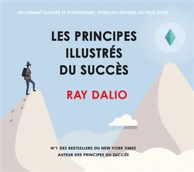 Les principes illustrés du succès