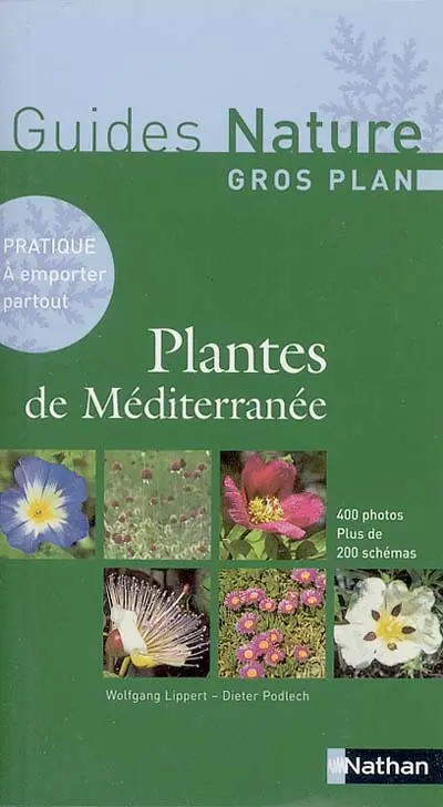 Plantes de Méditerranée