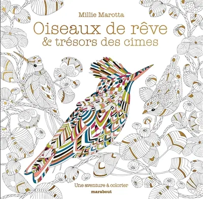 Oiseaux de rêve & trésors des cimes : une aventure à colorier