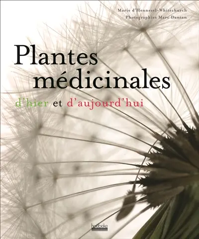 Plantes médicinales