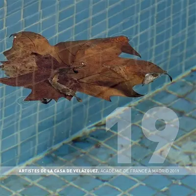 Artistes de la Casa de Velazquez : Académie de France à Madrid 2019