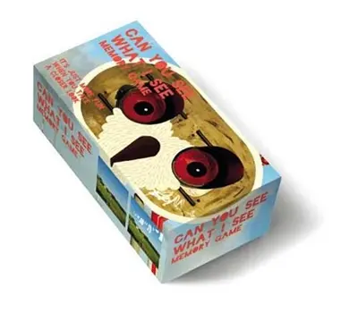 Can You See What I See Memory Game