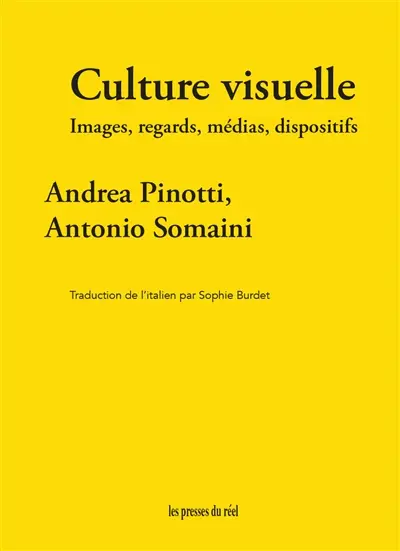 Culture visuelle : images, regards, médias, dispositifs