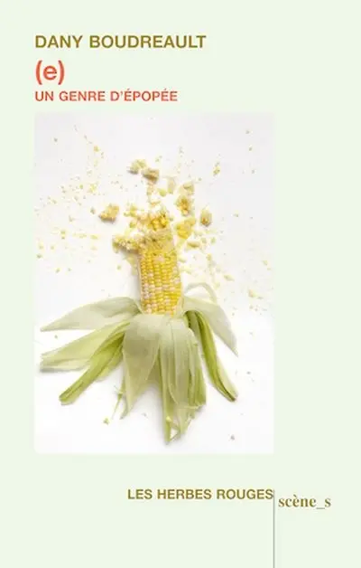 (e) : Un genre d'épopée