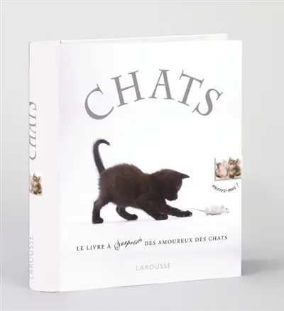 Chats : le premier livre animé pour tous les passionnés de chats