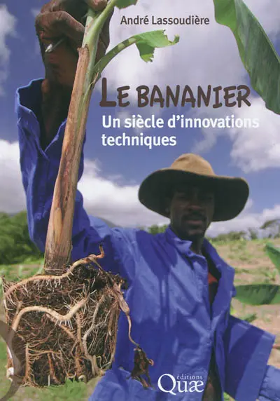 Le bananier : un siècle d'innovations techniques