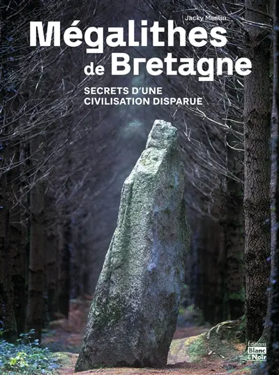 Mégalithes de Bretagne : secrets d'une civilisation disparue
