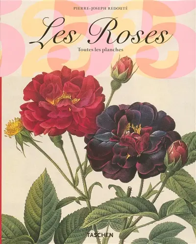Les roses : toutes les planches