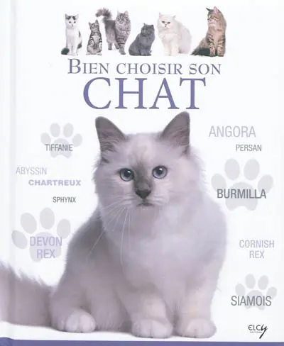 Bien choisir son chat : guide des animaux
