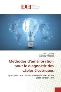 Méthodes d'amélioration pour le diagnostic des câbles électriques : Application aux réseaux de distribution aérien basse tension (BT)