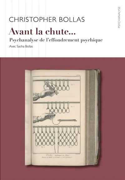 Avant la chute... : psychanalyse de l'effondrement psychique