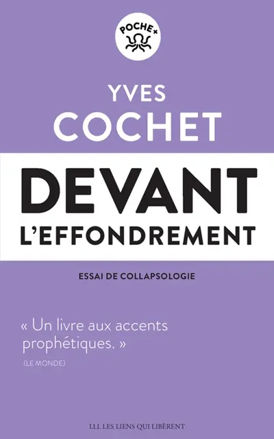 Devant l'effondrement : essai de collapsologie