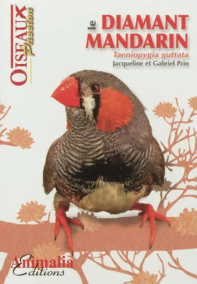 Le diamant mandarin : taeniopygia guttata