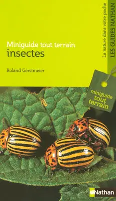 Insectes
