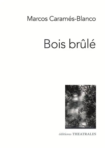 Bois brûlé