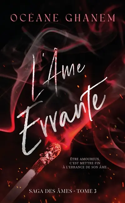 Saga des âmes. Vol. 3. L'âme errante. Vol. 1