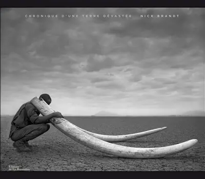 Chronique d'une terre dévastée