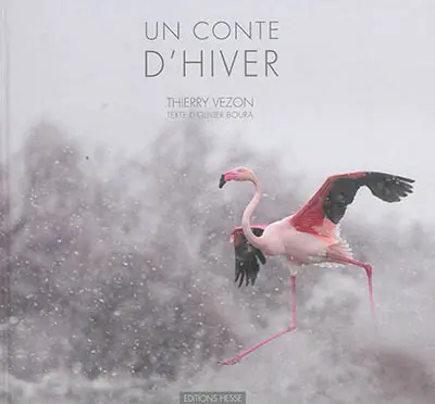 Un conte d'hiver