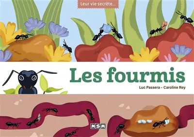 Les fourmis