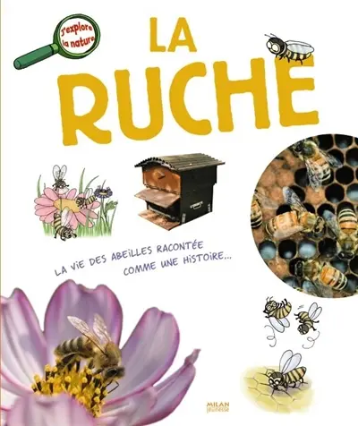 La ruche : la vie des abeilles racontée comme une histoire...