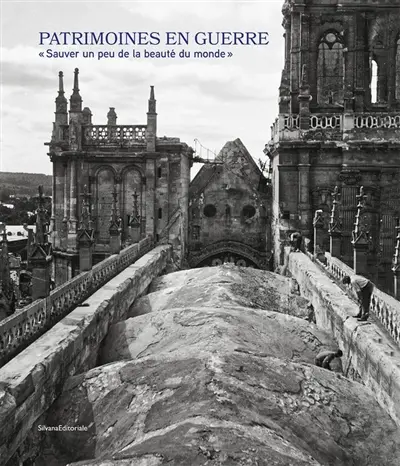 Patrimoines en guerre : sauver un peu de la beauté du monde