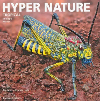 Hyper nature. Tropical