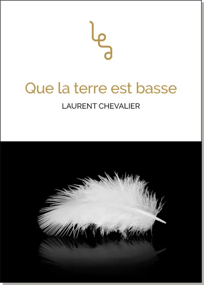 Que la terre est basse : aventures carambolesques et improbables de Jugulo Gentleman, fils de Valentine et Pulap Evariste. Foutraque et compagnie