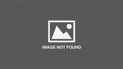 Anthony Cudahy : Like night needs morning