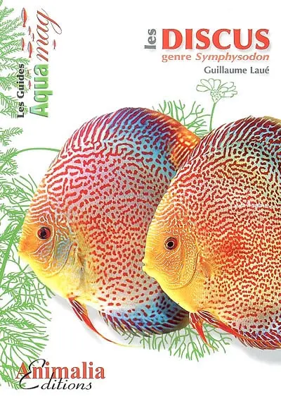 Les discus : genre Symphysodon