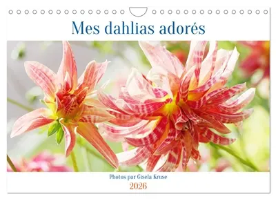 Mes dahlias adorés (Calendrier mural 2026 DIN A4 vertical), CALVENDO calendrier mensuel : La reine de la fin de l'été dans le jardin des dahlias